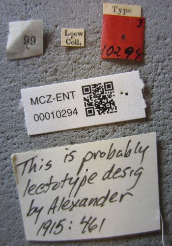 Media type: image;   Entomology 10294 Aspect: labels
